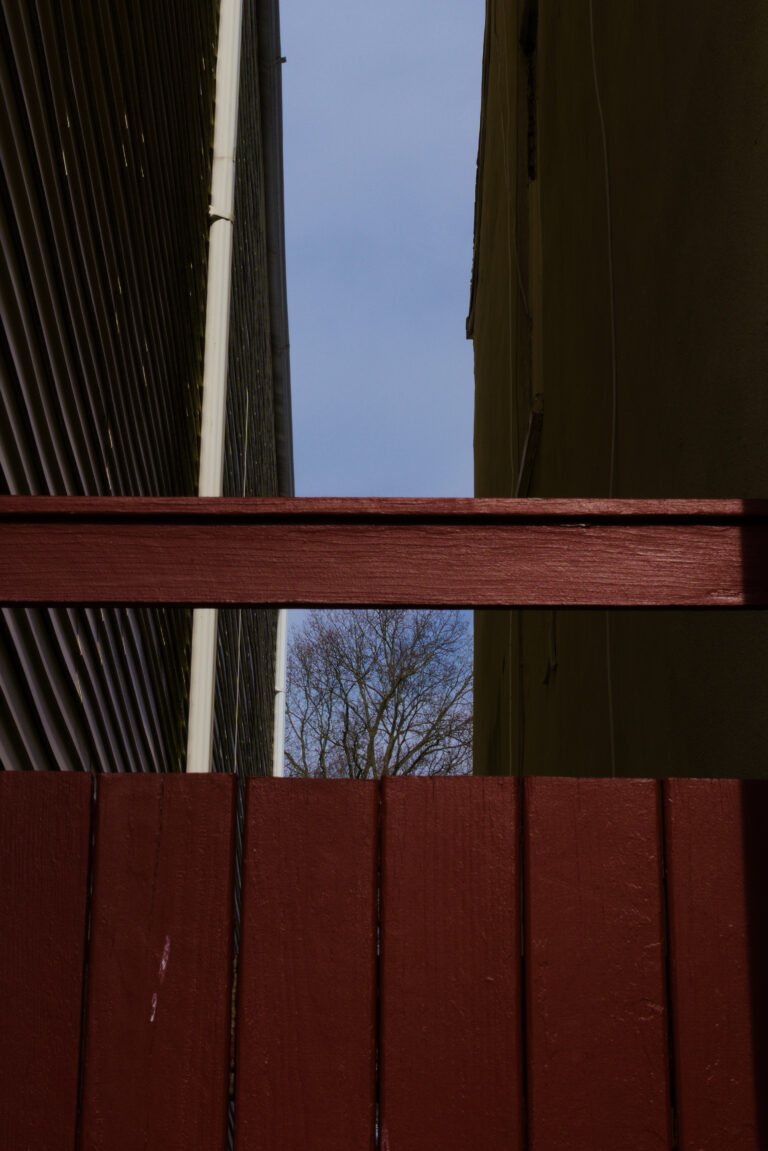 Photo by Hansen Tivoli