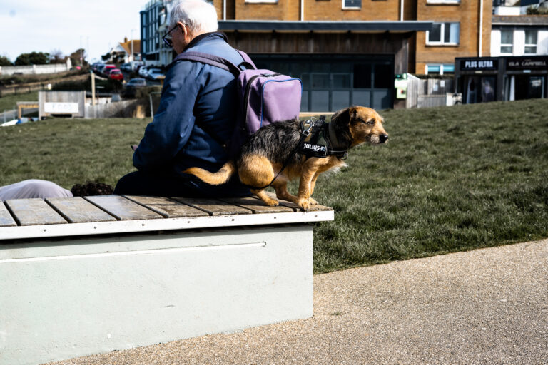 Photo by Leon Maillard