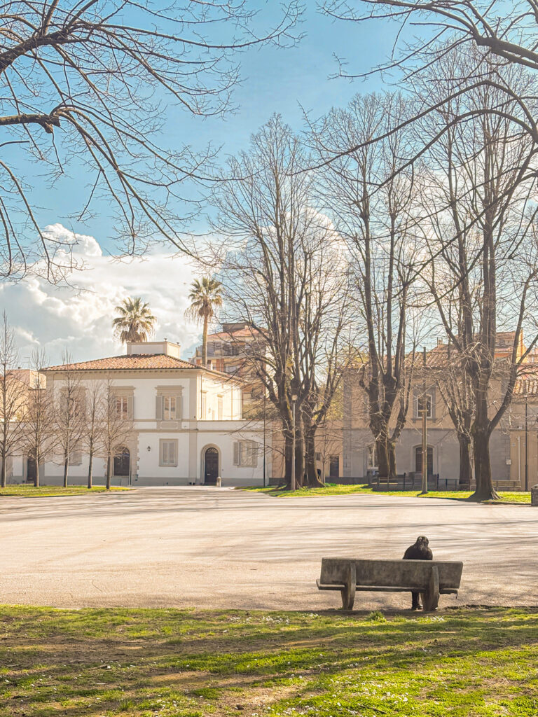 Photo by Pietro Tacconi