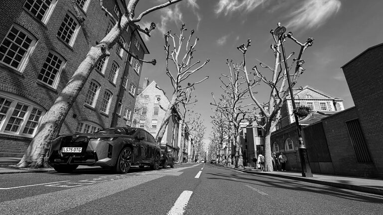 Photo by Franck Toto