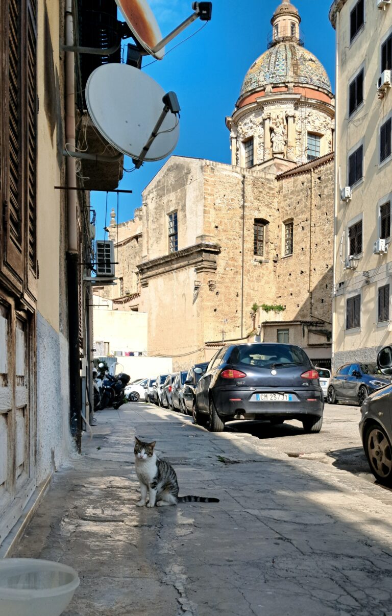 Photo by Allan Almeida