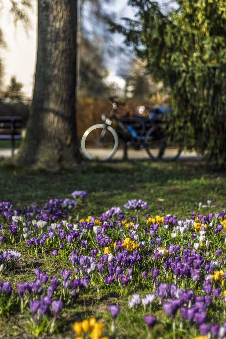 Photo by Marco Empanadilla