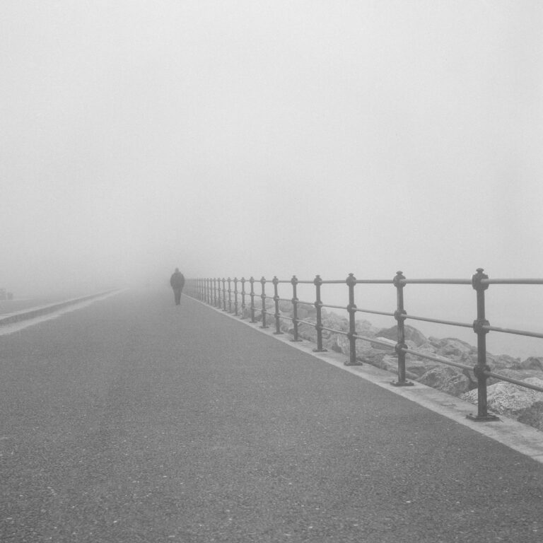 Photo by Jed Pearson