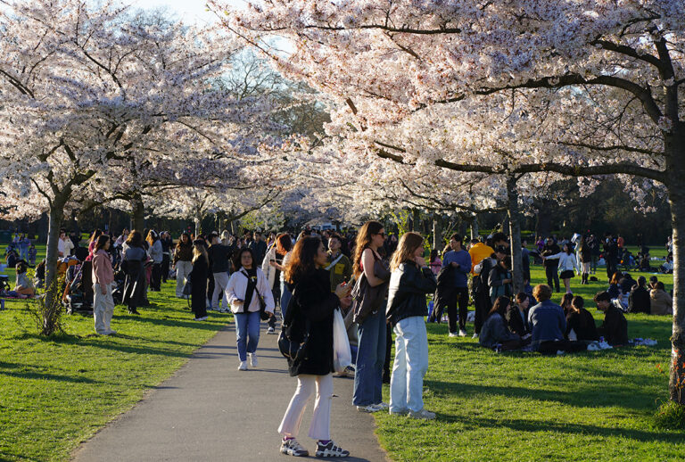 Photo by Franck Toto