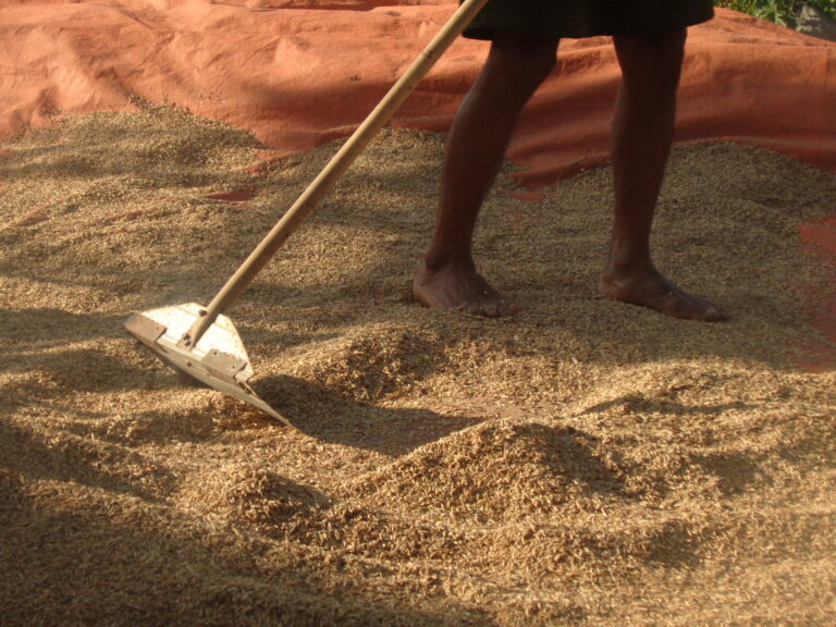 Photo by Dafa Ramadhani