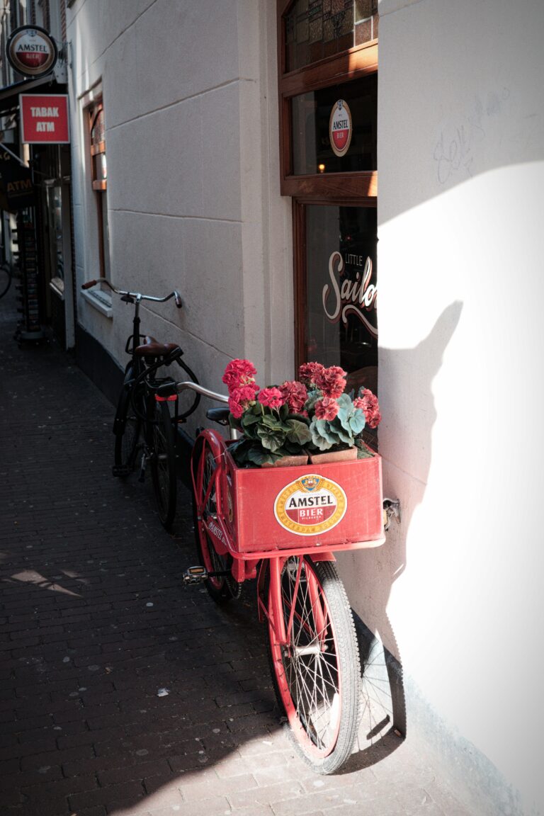 Photo by Trevor Morse