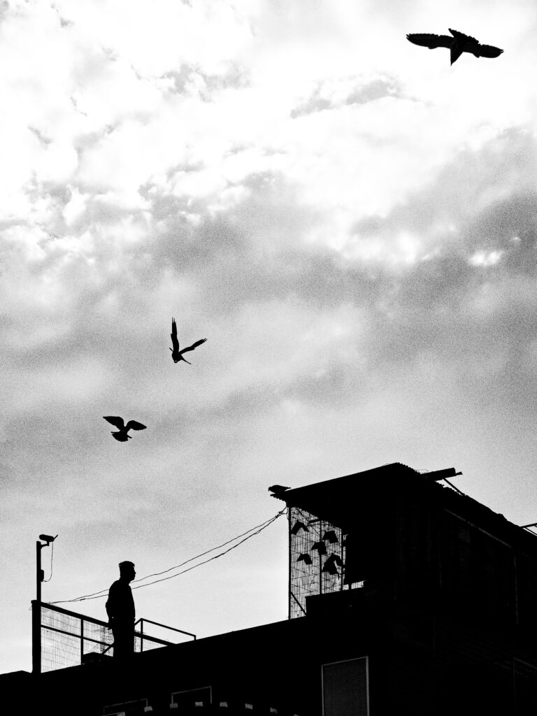 Photo by Alex 艾老师