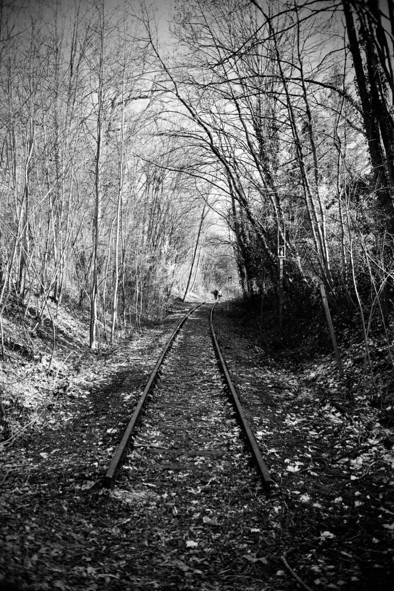 Photo by Jef 📷🍀