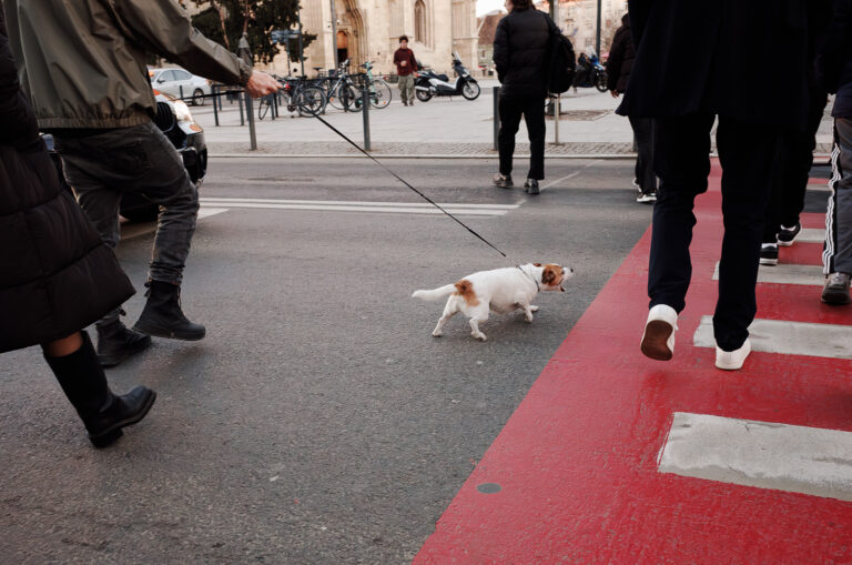 Photo by Lucian Dandea