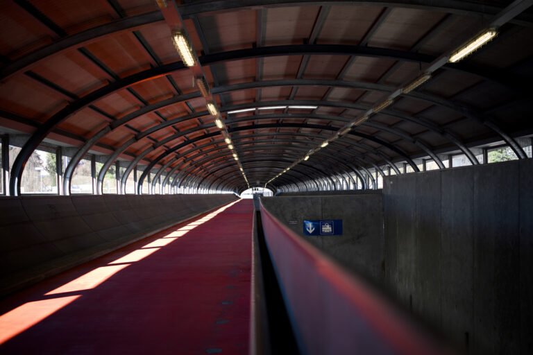 Photo by Federico Pellegrino