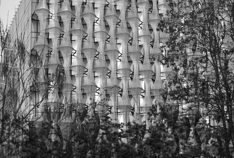 Photo by Franck Toto