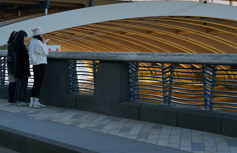 Photo by Franck Toto