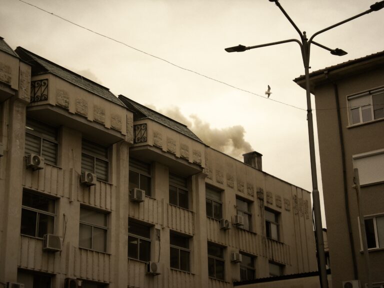 Photo by Aycha Feyzula