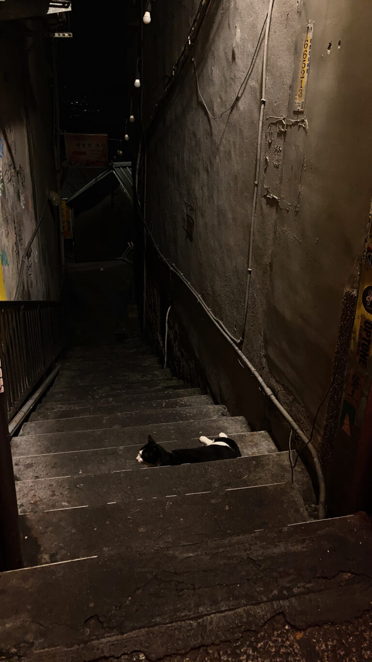 Photo by Jiraporn Nuserm