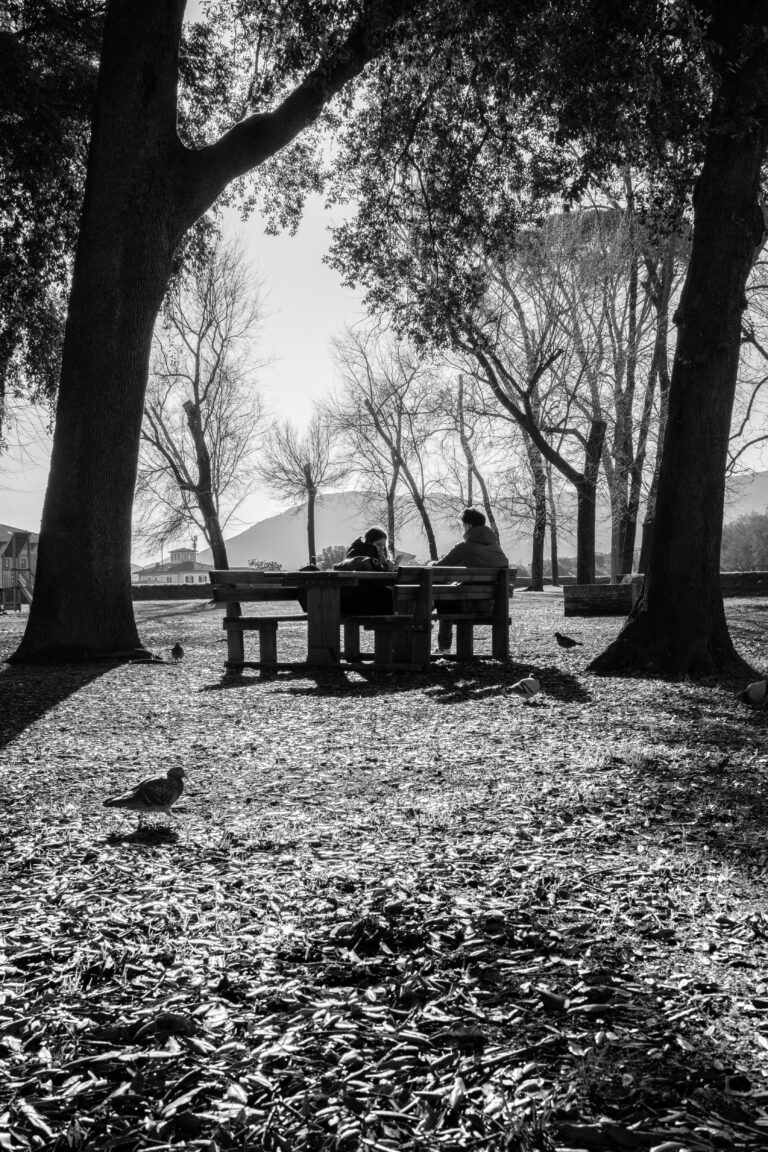 Photo by Thomas Bassetti