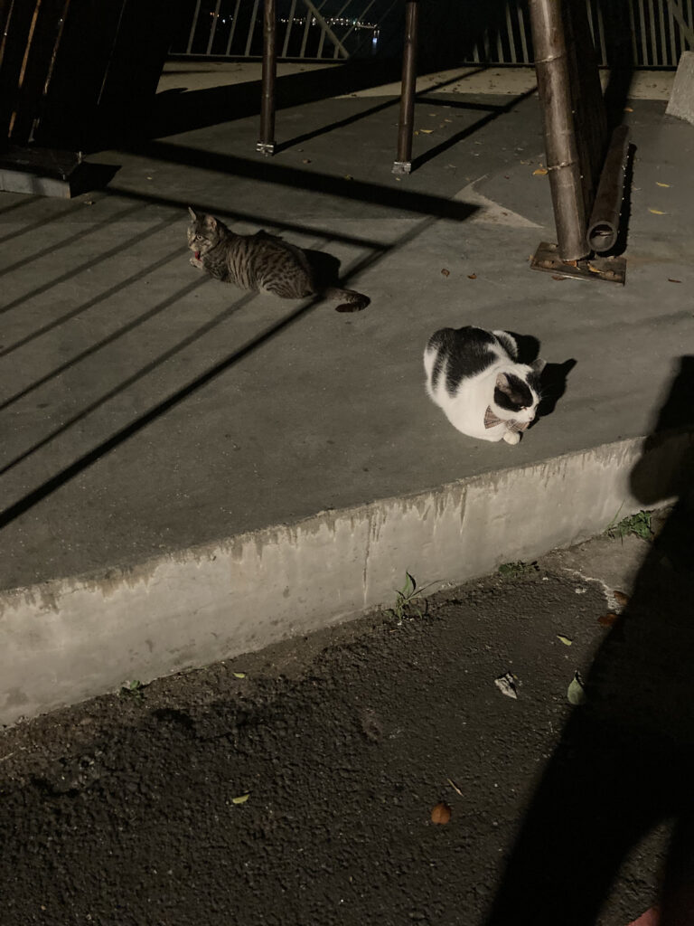 Photo by Jiraporn Nuserm