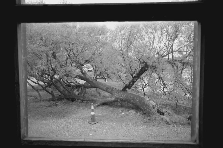 Photo by Chee Hiong Chua