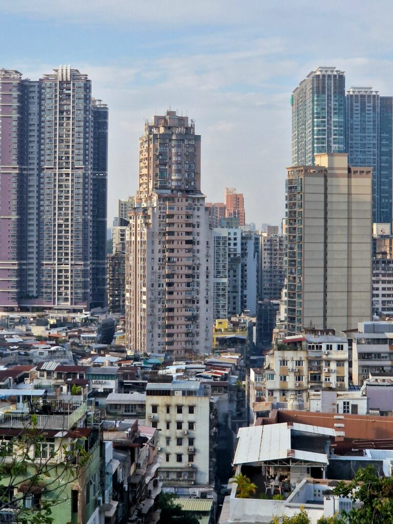 Photo by Amelia Krüger