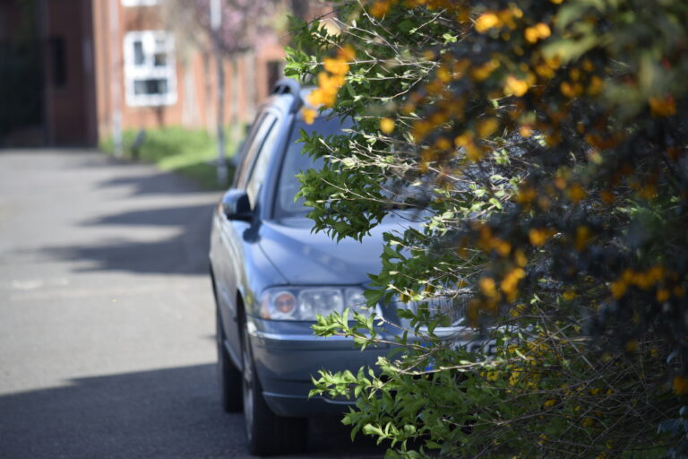 Photo by dekku bow Photos