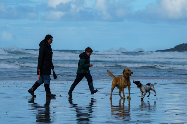 Photo by Leon Maillard