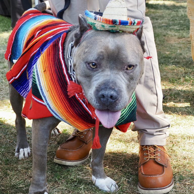 Photo by Ernesto Najar