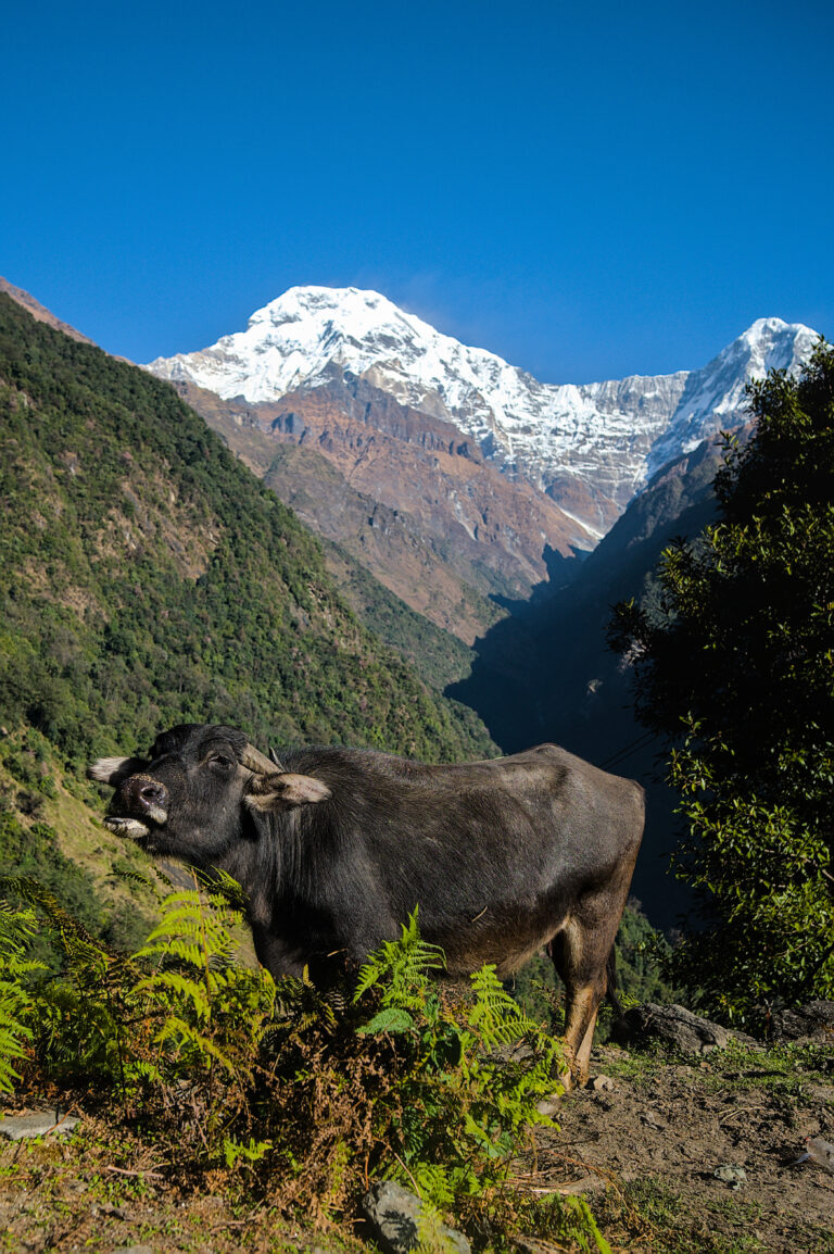 Photo by Black Pixel