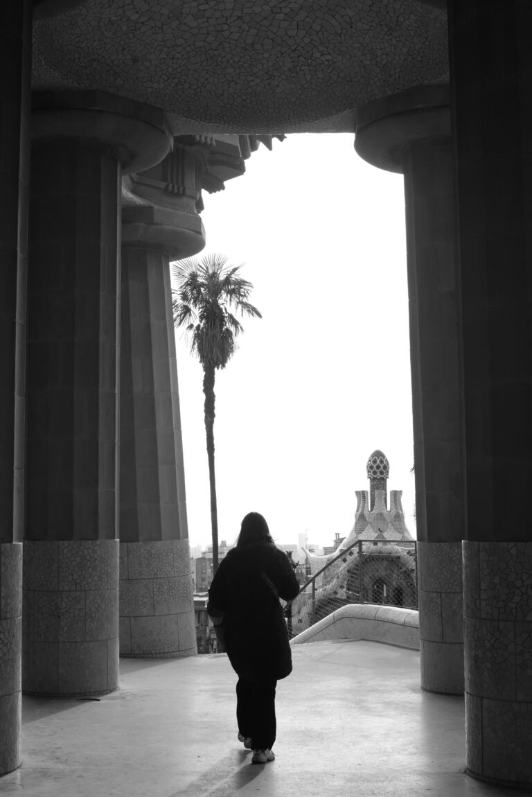 Photo by Ariwame Reynoso