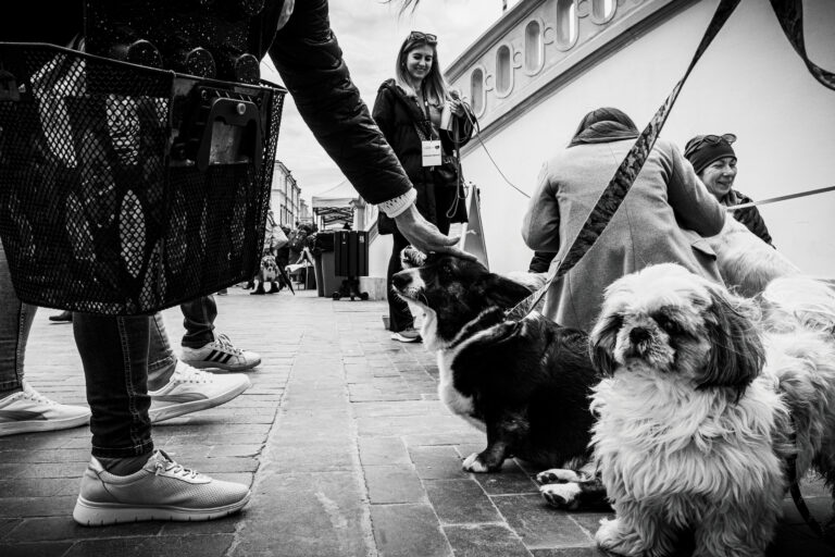 Photo by Jaroslaw Bu