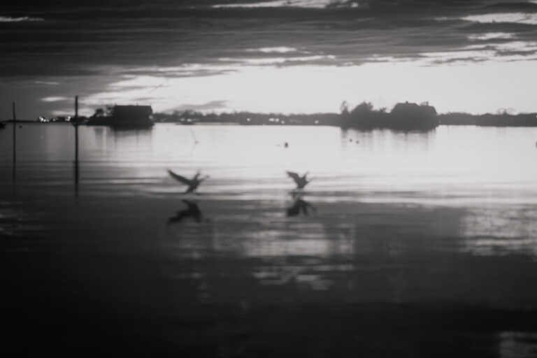 Photo by Devaunie Dacres