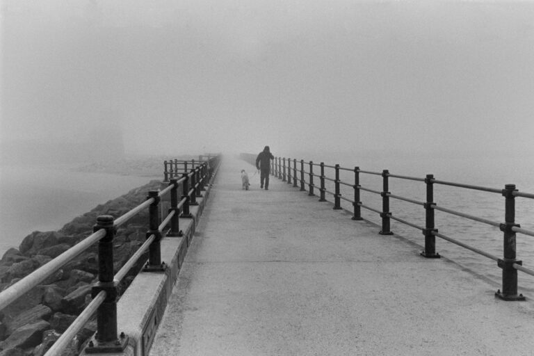 Photo by Jed Pearson