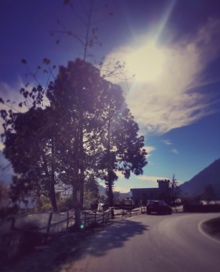 Photo by David Hoffland