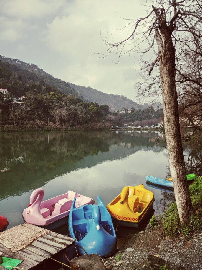 Photo by David Hoffland