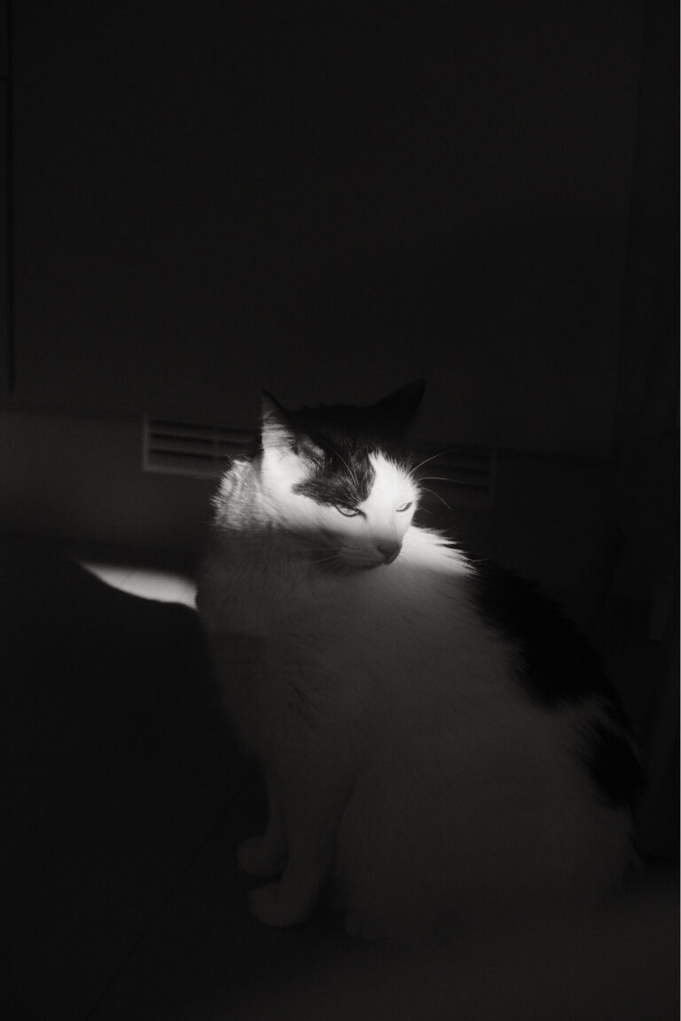 Photo by Mathias Berg