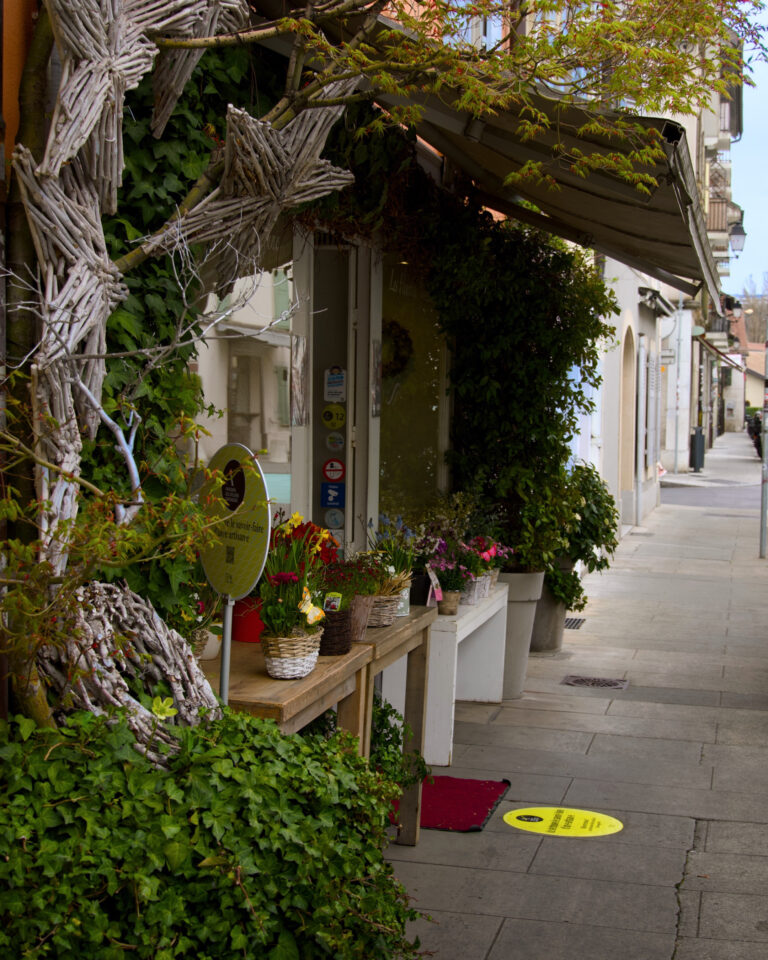 Photo by Federico Pellegrino