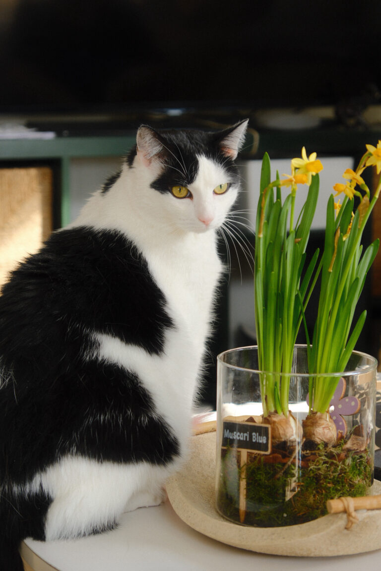 Photo by Mathias Berg