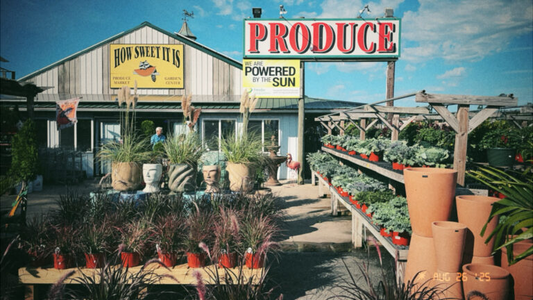 Photo by Will Hotton