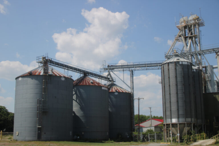 Photo by Will Hotton