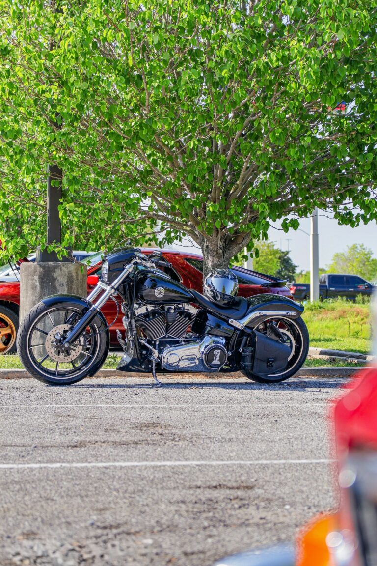 Photo by Sebastrian W..