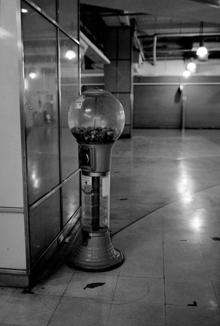 Photo by Paul Martin