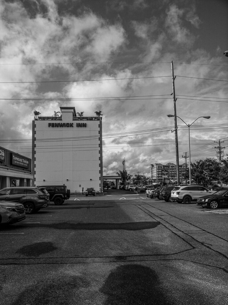 Photo by Will Hotton