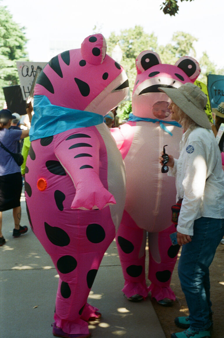 Photo by Ernesto Najar