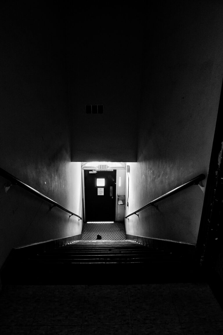 Photo by Dylan Tanedo