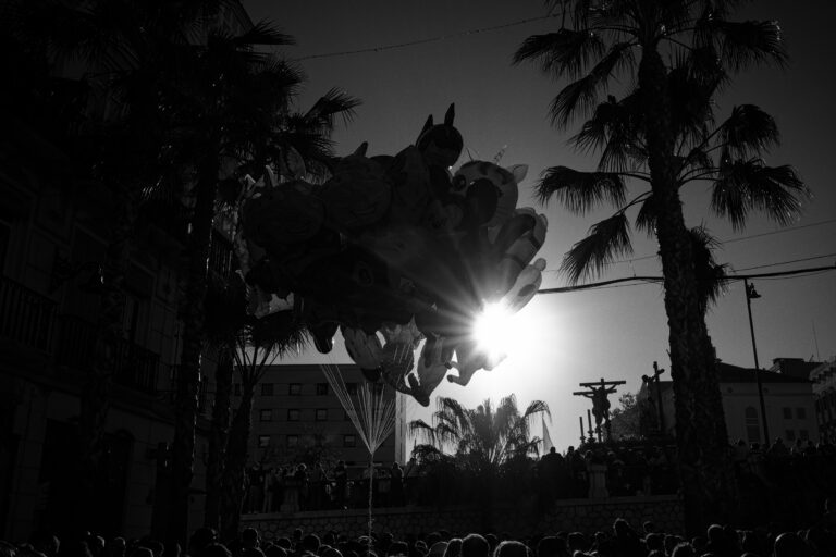 Photo by Trevor Morse