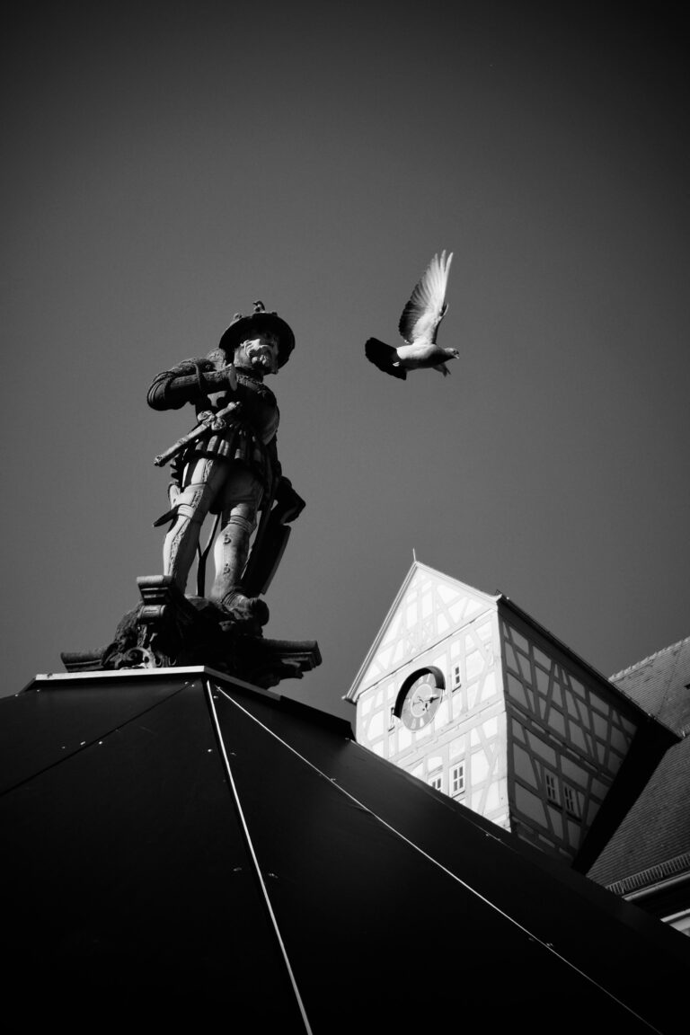 Photo by Jef 📷🍀