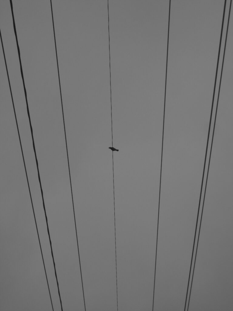 Photo by Mathias Berg