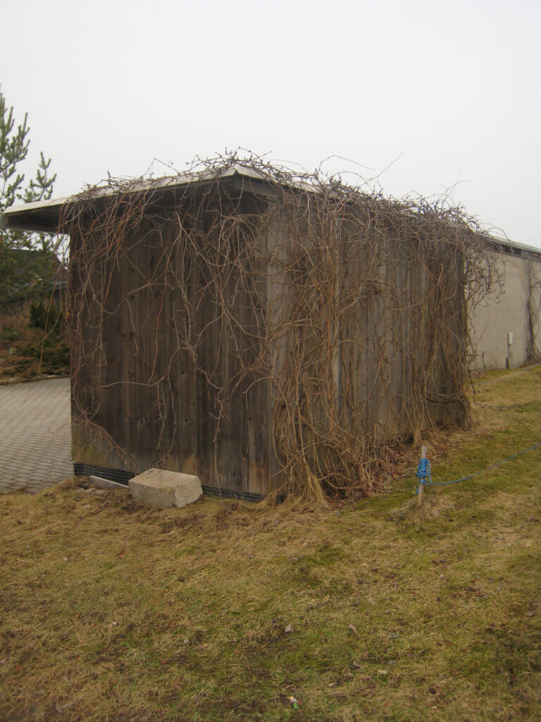 Photo by Mathias Berg