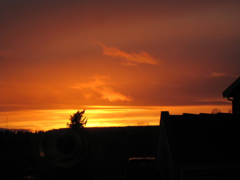 Photo by Mathias Berg