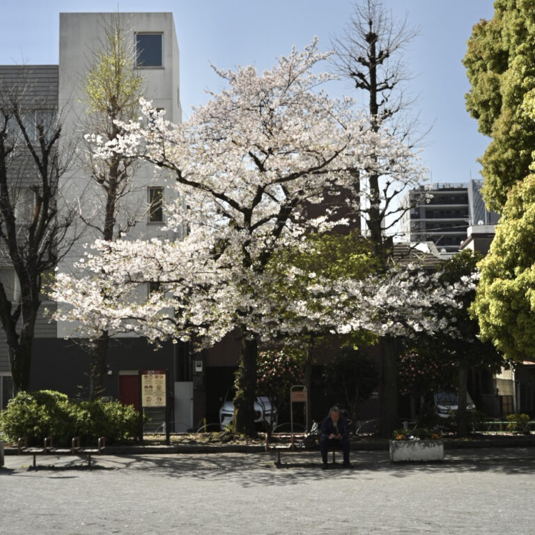 Photo by Eiji Kuwahara