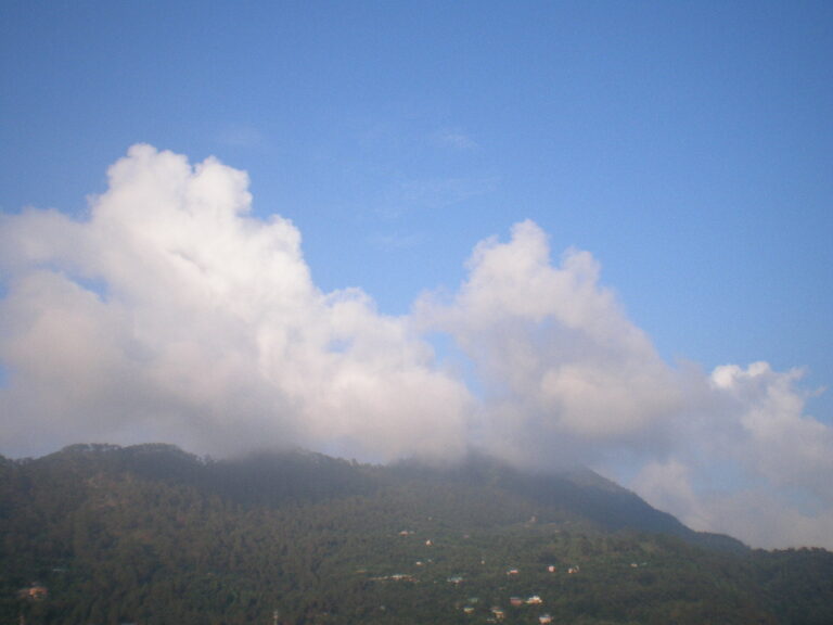 Photo by David Hoffland