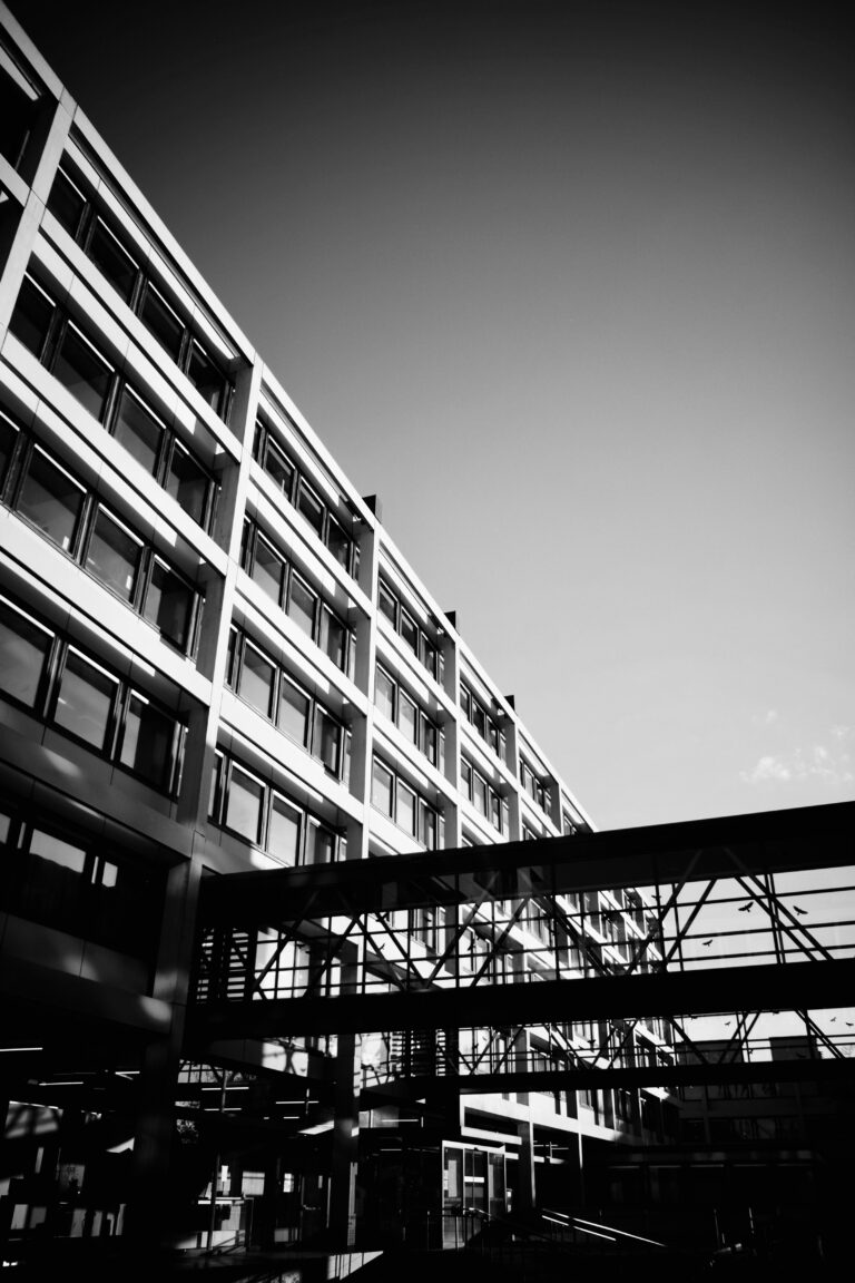 Photo by Jef 📷🍀